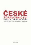 České zdravotnictví. Vize a skutečnost