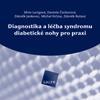 Diagnostika a léčba syndromu diabetické nohy pro praxi (CD-ROM)