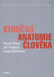 Stručná anatomie člověka