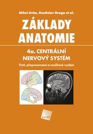 Základy anatomie. 4a. Centrální nervový systém
